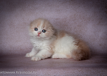 Krasnozar Hristofor Bonifat'evich