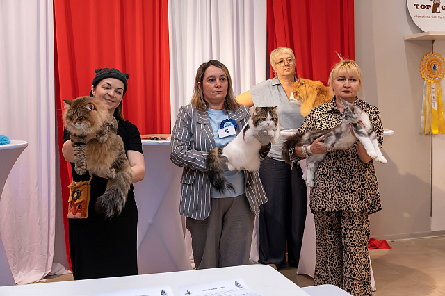 Выставка TOPCAT: Саратов 22-23 августа 2026