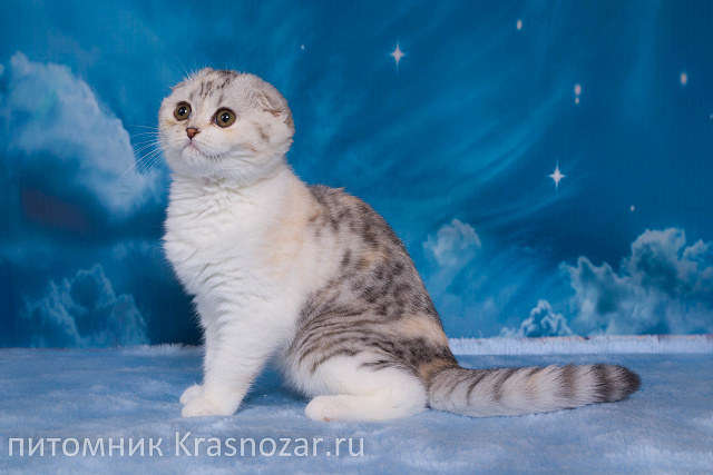 Krasnozar Izuminka