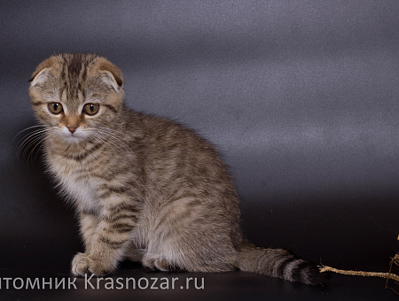 Krasnozar Zosia