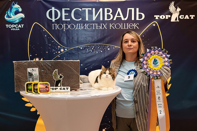 Выставка TOPCAT: Саратов 22-23 августа 2026