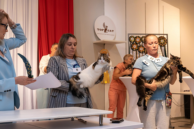 Выставка TOPCAT: Саратов 22-23 августа 2026
