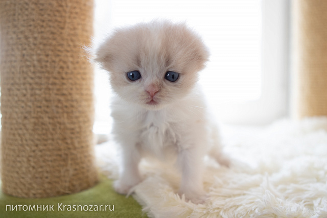Krasnozar Hristofor Bonifat'evich