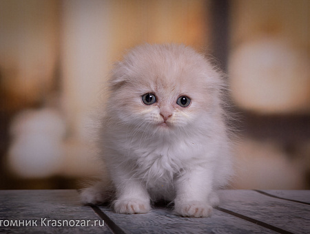 Krasnozar Yasmina