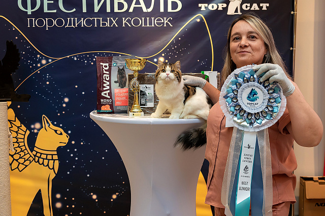 Выставка TOPCAT: Саратов 22-23 августа 2026