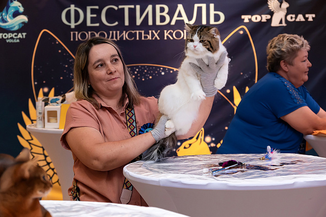 Выставка TOPCAT: Саратов 22-23 августа 2026
