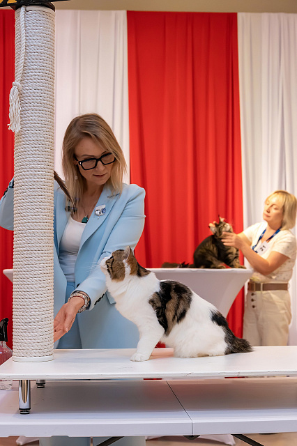 Выставка TOPCAT: Саратов 22-23 августа 2026
