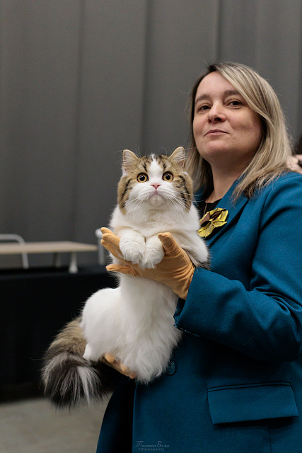 Выставка TOPCAT "ЗООМИР на Нижегородской Ярмарке": Нижний Новгород, 03-04 октября 2026