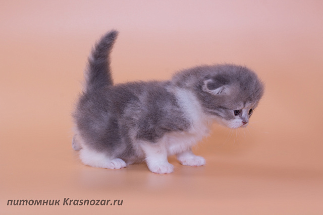 Krasnozar Luna