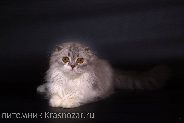 Krasnozar Zhenechka