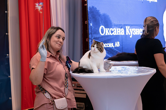 Выставка TOPCAT: Саратов 22-23 августа 2026
