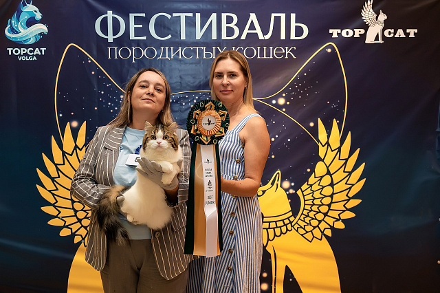 Выставка TOPCAT: Саратов 22-23 августа 2026