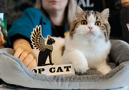 Выставка TOPCAT "ЗООМИР на Нижегородской Ярмарке": Нижний Новгород, 03-04 октября 2026