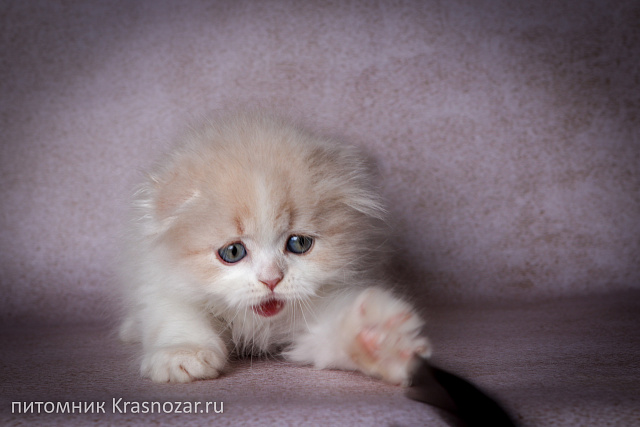 Krasnozar Hristofor Bonifat'evich