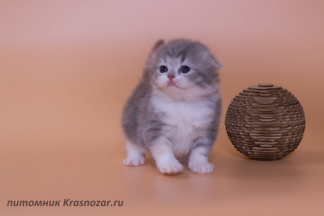 Krasnozar Luna