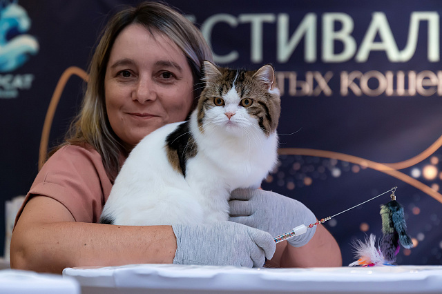 Выставка TOPCAT: Саратов 22-23 августа 2026