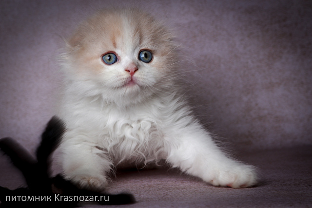 Krasnozar Hristofor Bonifat'evich