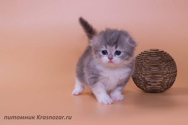 Krasnozar Luna
