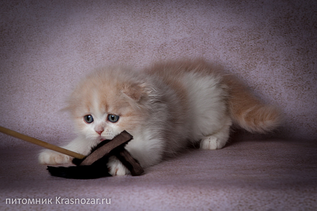 Krasnozar Hristofor Bonifat'evich