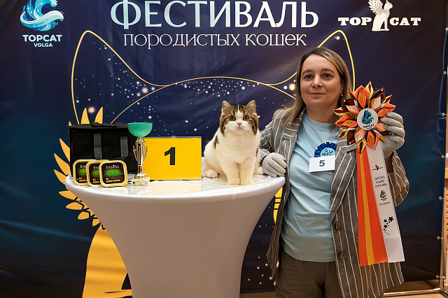 Выставка TOPCAT: Саратов 22-23 августа 2026