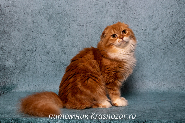 Krasnozar Nestor Petrovich