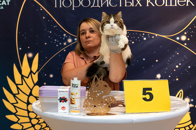 Выставка TOPCAT: Саратов 22-23 августа 2026