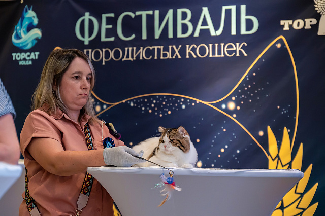 Выставка TOPCAT: Саратов 22-23 августа 2026