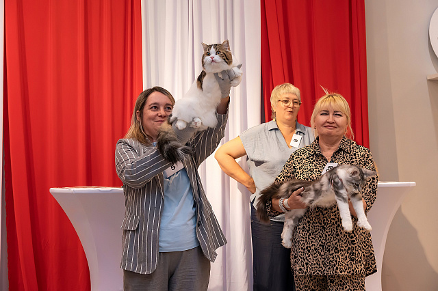 Выставка TOPCAT: Саратов 22-23 августа 2026