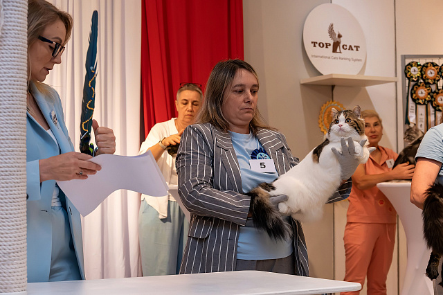 Выставка TOPCAT: Саратов 22-23 августа 2026
