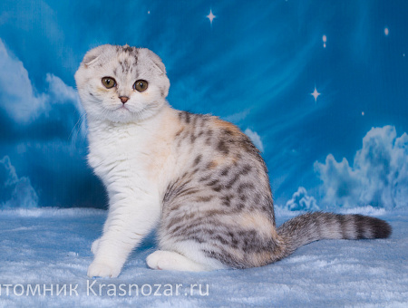 Krasnozar Izuminka