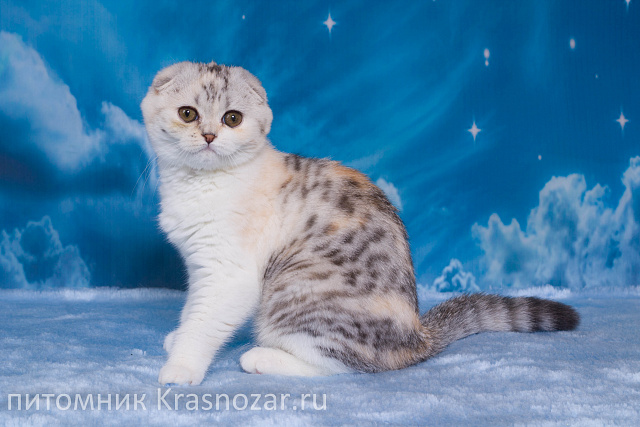 Krasnozar Izuminka