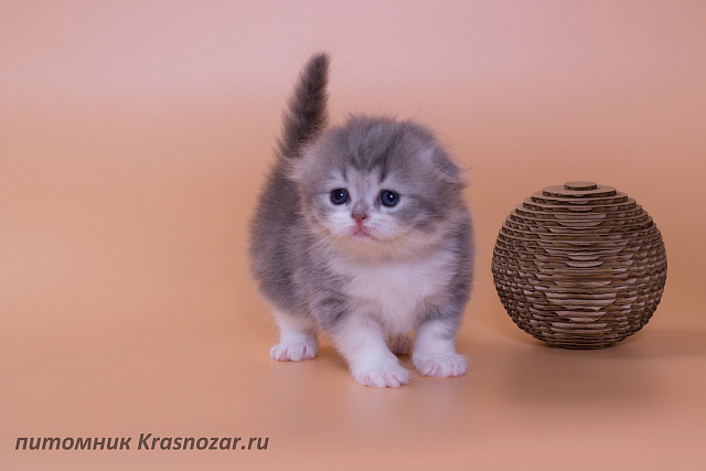 Krasnozar Luna