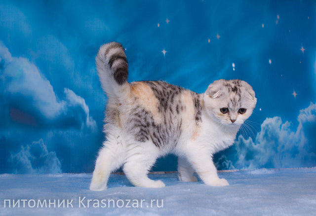 Krasnozar Izuminka