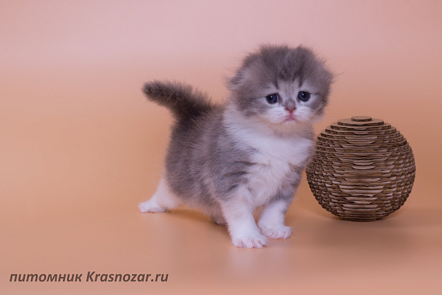Krasnozar Luna