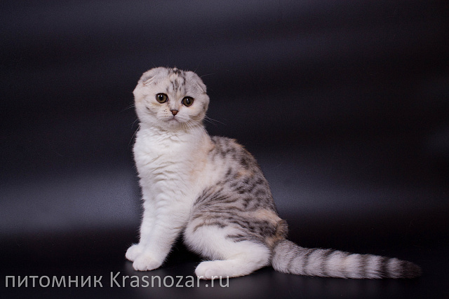 Krasnozar Izuminka